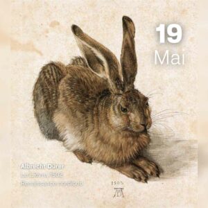 Albrecht Durer - Le lièvre 1502