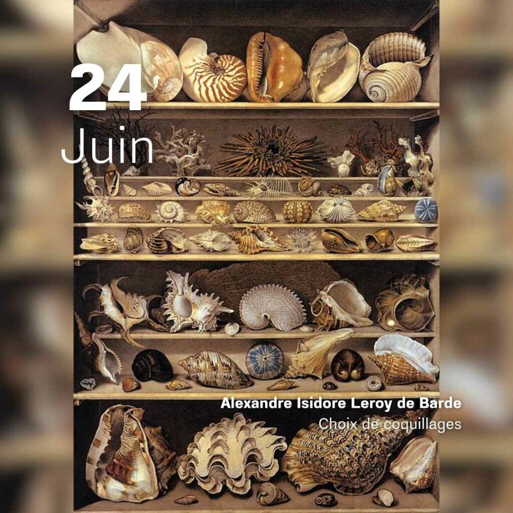 Alexandre Isidore Leroy de Barde - Choix de coquillages