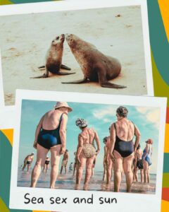 Photo polaroïd style 70's