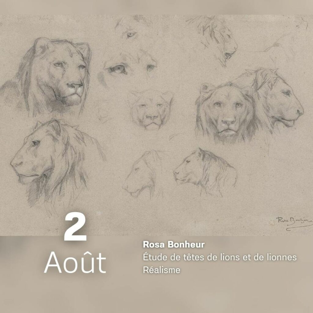 Rosa Bonheur - Etude de têtes de lions et de lionnes