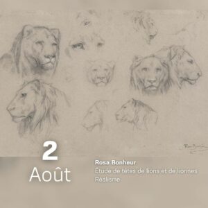 Rosa Bonheur - Etude de têtes de lions et de lionnes