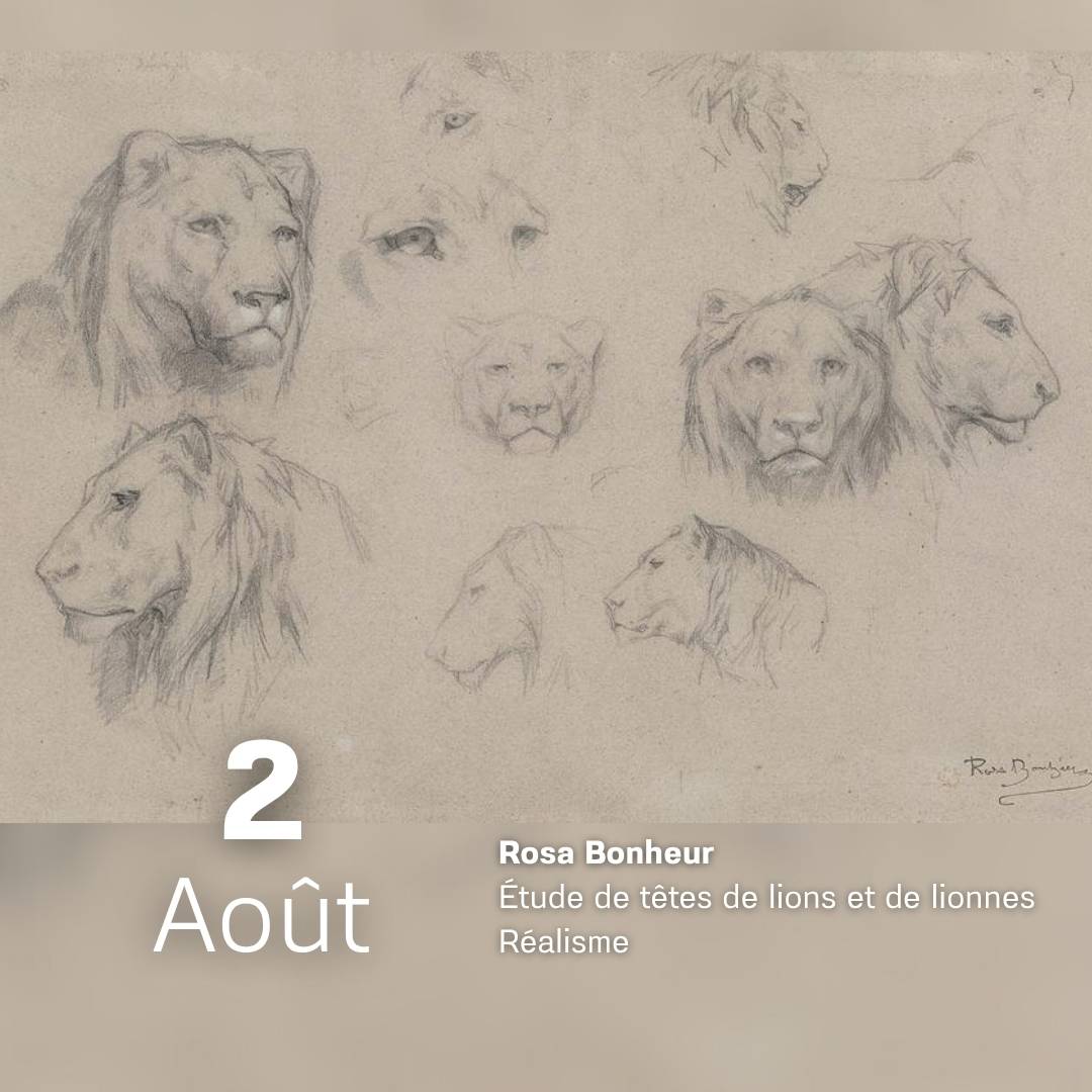 Rosa Bonheur - Etude de têtes de lions et de lionnes