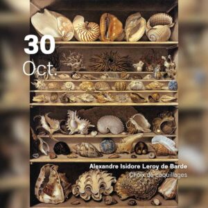 Alexandre Isidore Leroy de Barde - Choix de coquillages