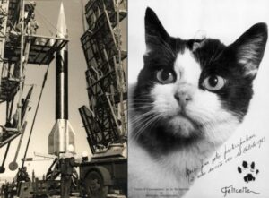 Véronique et Félicette