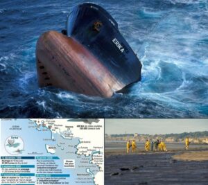 Catastrophe de l'Erika
